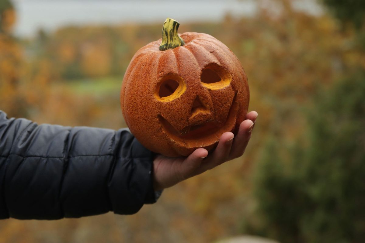 come svuotare velocemente la zucca per Halloween