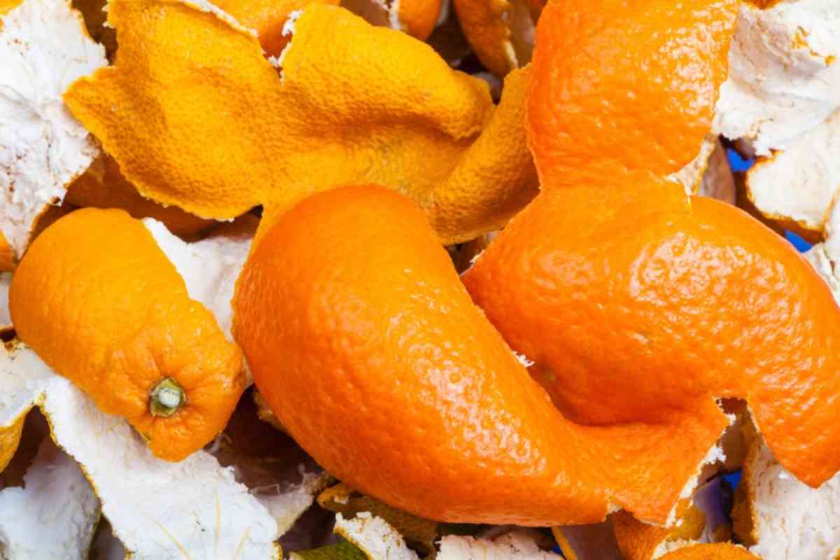 Riutilizzo bucce mandarino