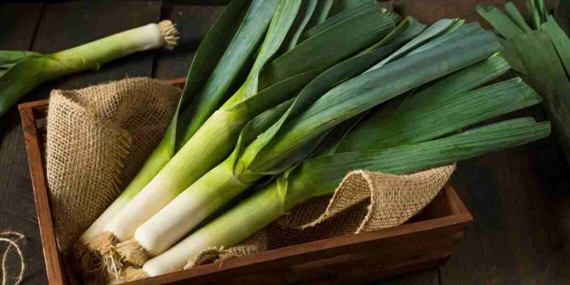 porro come cucinarlo