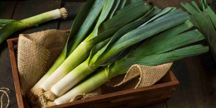 porro come cucinarlo