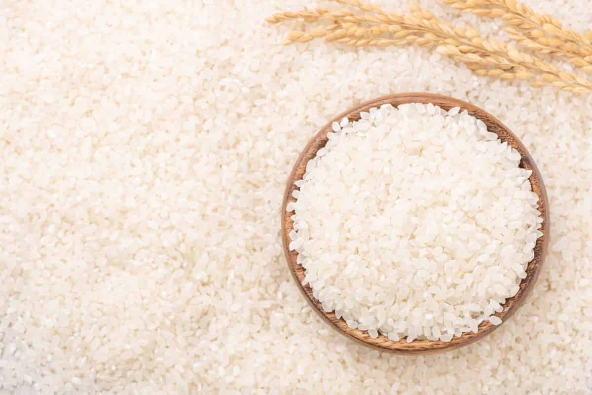 ricetta riso al forno alla siciliana