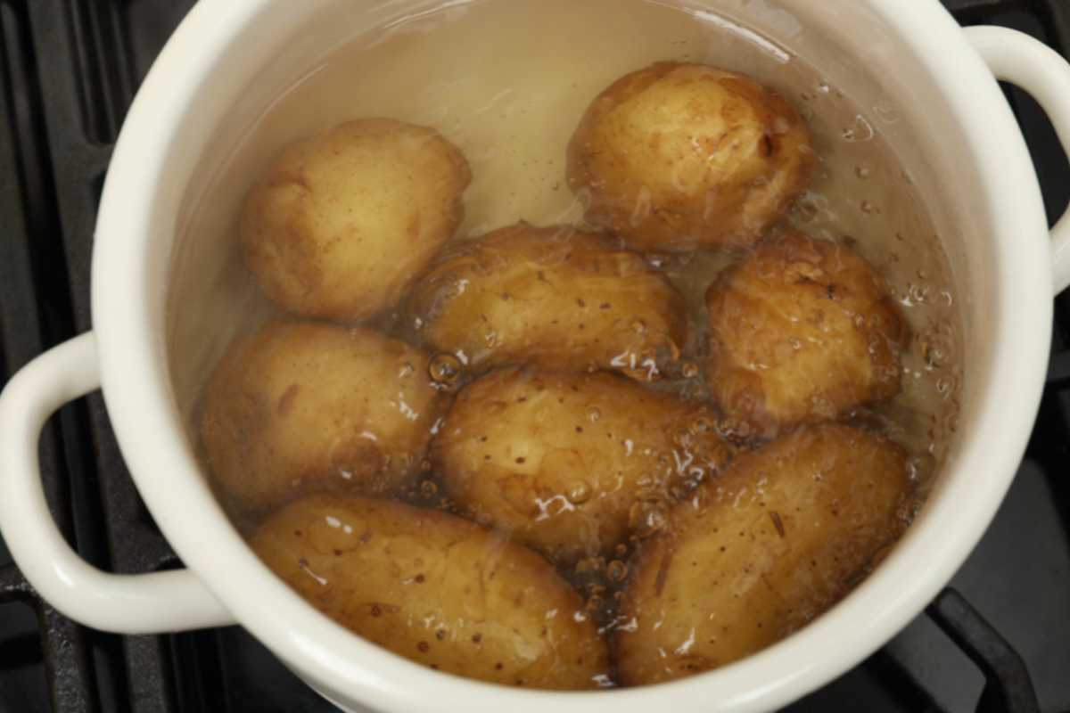 Patate